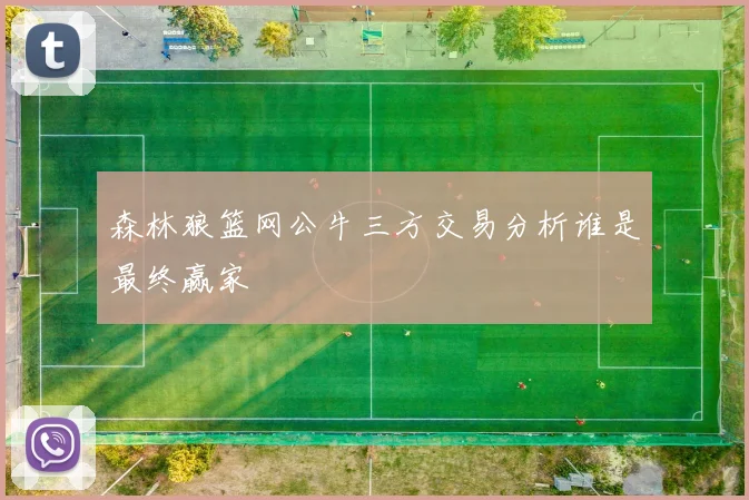 森林狼篮网公牛三方交易分析谁是最终赢家