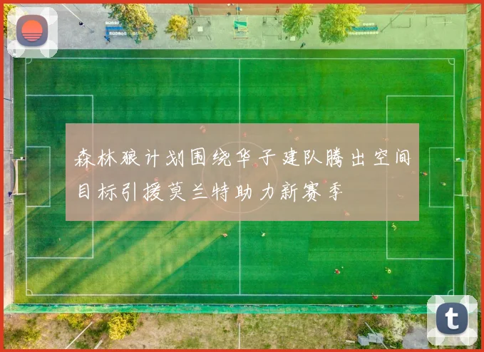 森林狼计划围绕华子建队腾出空间目标引援莫兰特助力新赛季